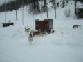 dscn0689.jpg