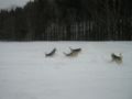 dscn0691.jpg